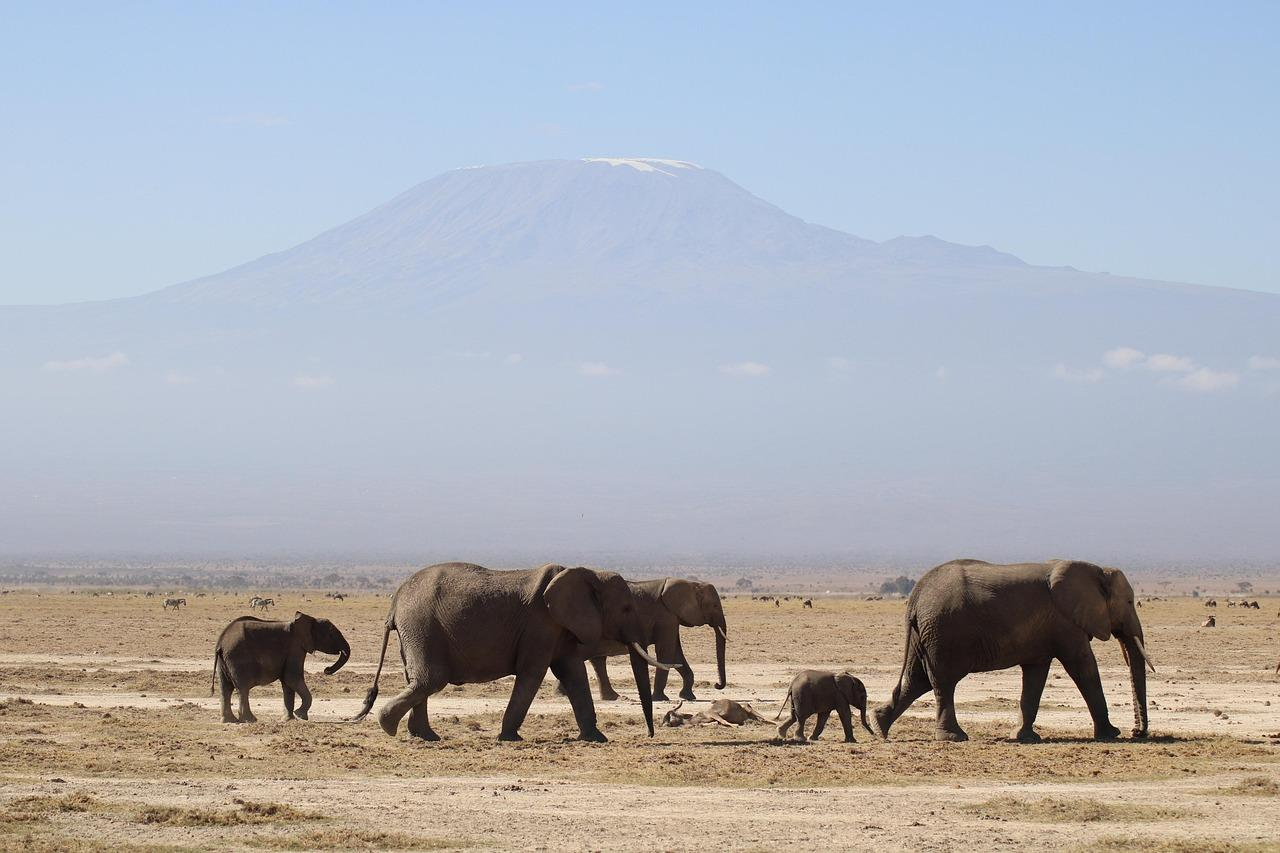 Reasons Africa Remains a Top Travel Destination